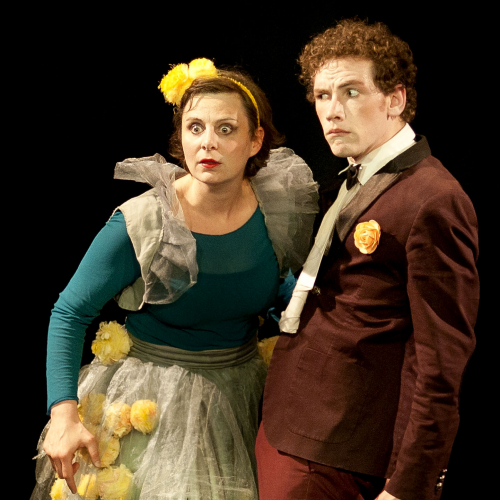 Rose au bois dormant