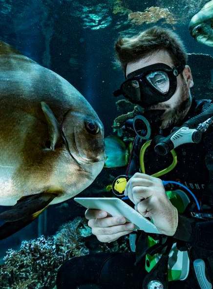 Votre premier tour du monde avec Nausicaá