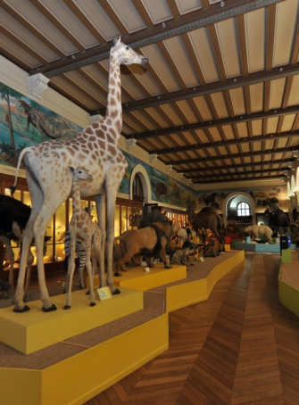Muséum d’Histoire Naturelle de Marseille