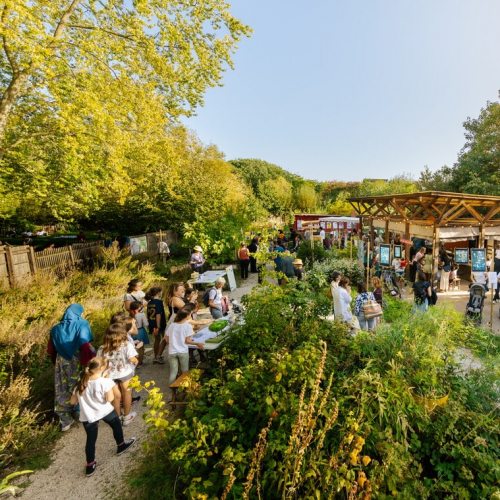 Vivaces ! Festival 2024