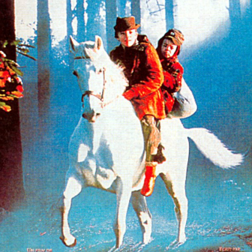 Le Cheval venu de la mer