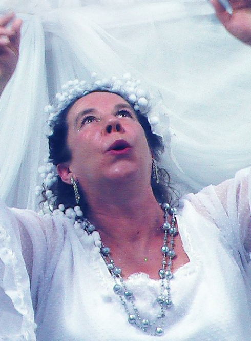 La fée des Neiges