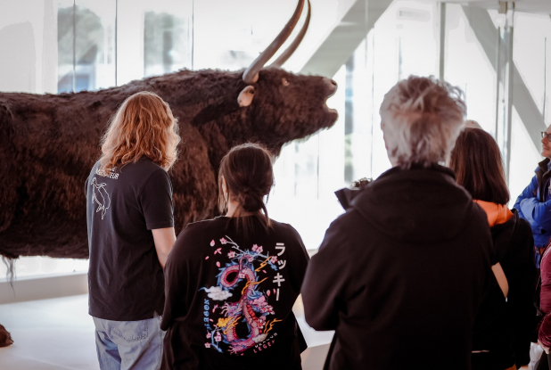 La visite guidée de la galerie Méditerranée