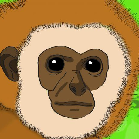 Animal Animal ciné-concert Wilfried Thierry