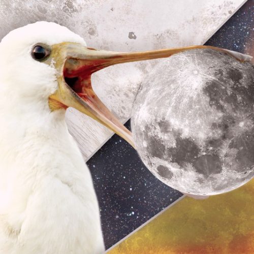 Soirée astronomie