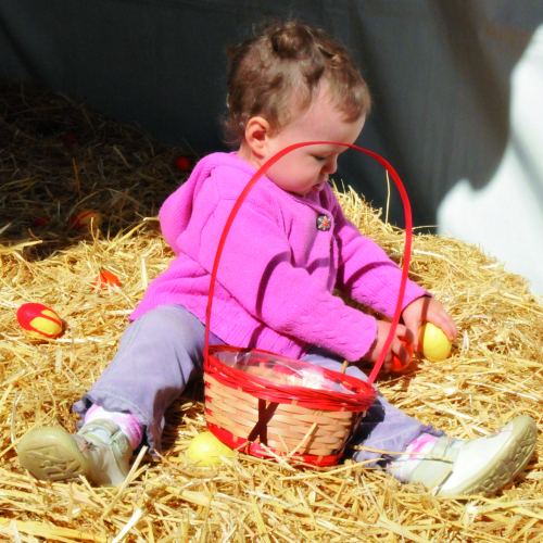Chasse aux oeufs au parc Phoenix à Nice