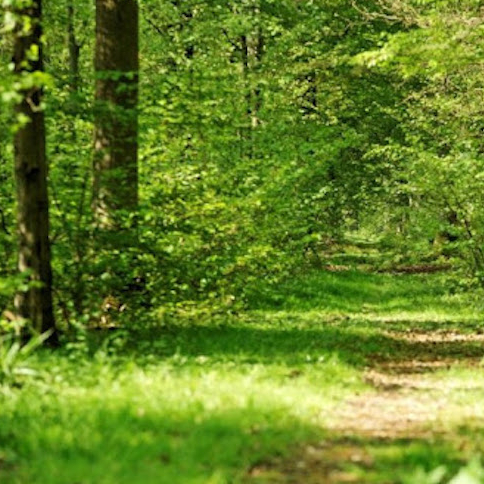 Parc naturel régional de Scarpe-Escaut