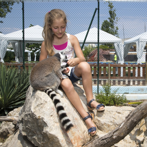 Kid's Island, la petite ferme du Far West