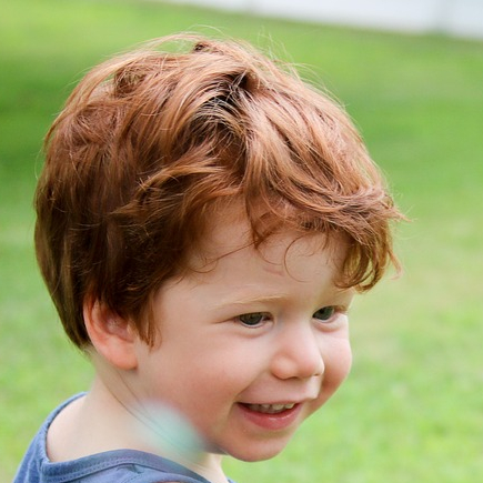 Petit garçon dans un jardin