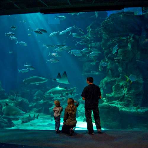 Vacances Planet Ocean