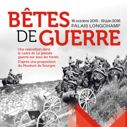 Bêtes de guerre : expo au Muséum