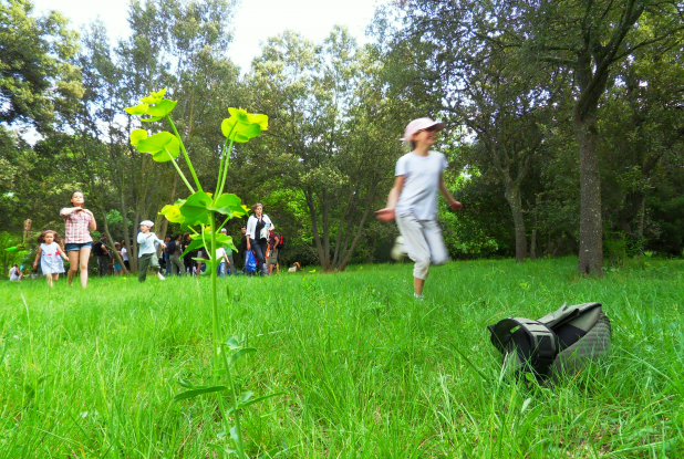 Garrigue en fête
