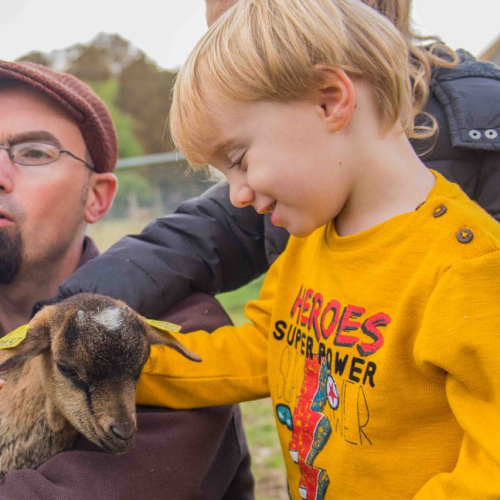 Les Fermes de Gally : chèvre et enfants