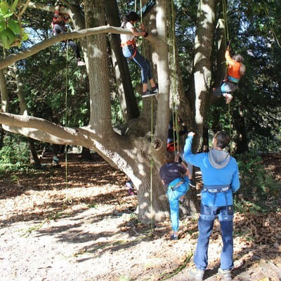 Voyage au bout de la cime