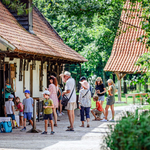 Réouverture des parcs de la MEL : sortie en famille