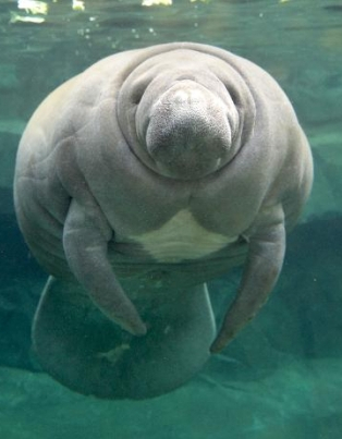 Parc Zoologique de Paris 5