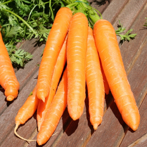 Côté Jardins - carottes