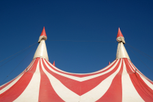 Découvrez l'histoire du cirque
