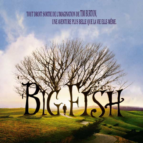 Big Fish affiche HD