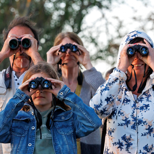 Fête de la nature : Une famille observe la nature avec des jumelles