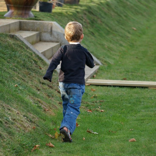 Salon Vieilles Pierres Jeunes Plantes