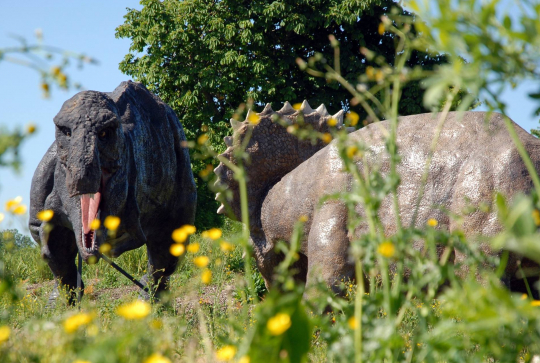 Paléopolis - Fossilis par Walter Jouffrey