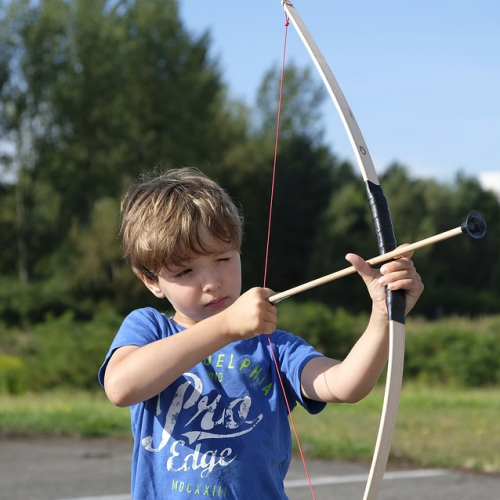 Amicale Laïque des Marsauderies
