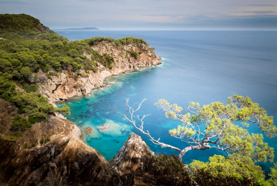 Parc national de Port-Cros