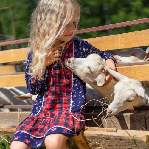 Top des fermes pédagogiques près de Toulouse : fillette avec chèvre