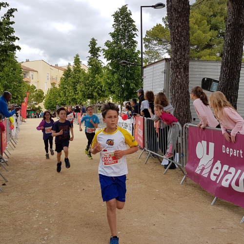 Festa Trail