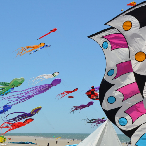 Festival À tout vent : ciel de cerfs-volants