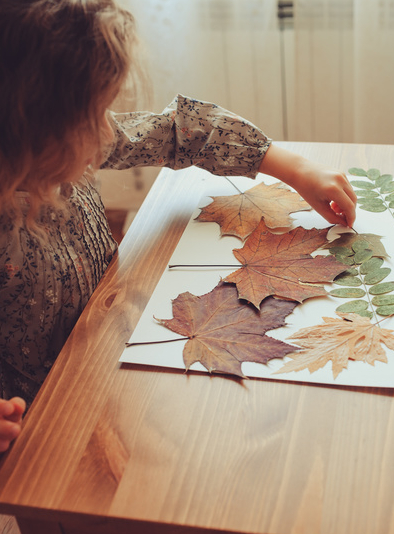 Comment faire un herbier avec les enfants ?