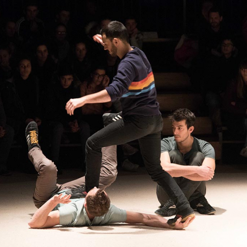 Rare birds - Cie Un loup pour l'homme