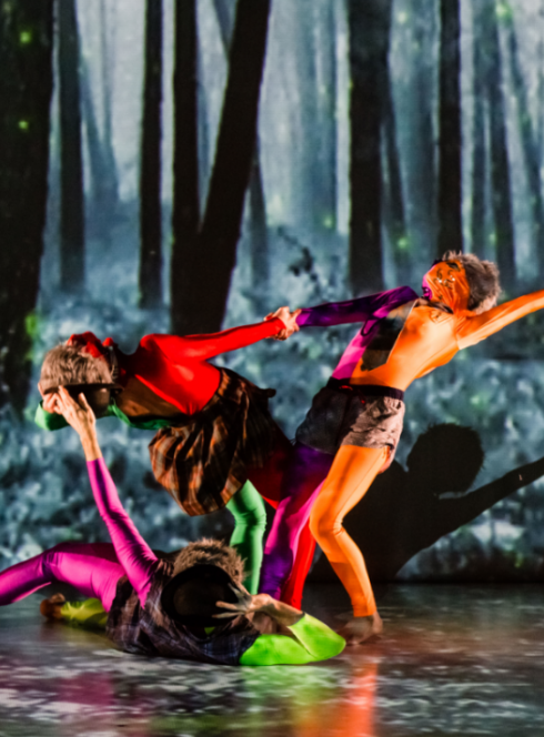 MMO Ma Mère l'Oye - Lionel Hoche