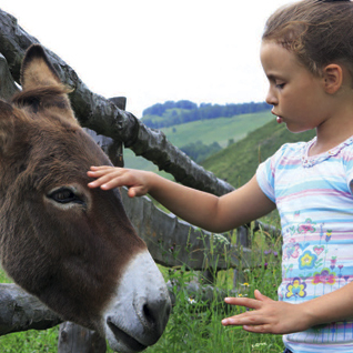 Ecotourisme en Alsace