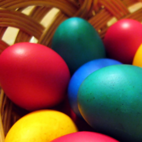 Chasse aux oeufs à la ferme du Moulin du Bois