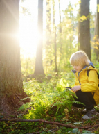 Un enfant et son père en forêt