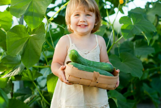 Cueillette de Mareuil - Enfant