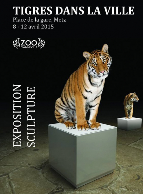 Expo Tigres dans la ville