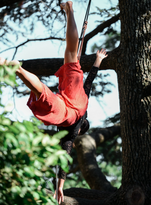 Festival Dans Les Arbres 2023 - "Feuillage, Performance Arborée"