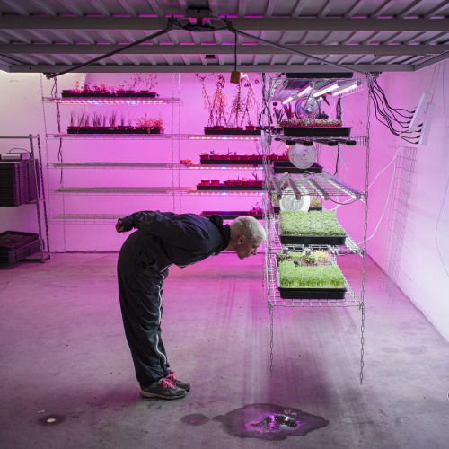 Festival traces de vie