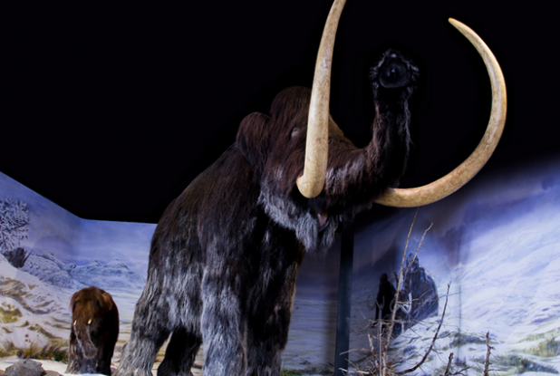 Le Parc de la Préhistoire de Tarascon-sur-Ariège