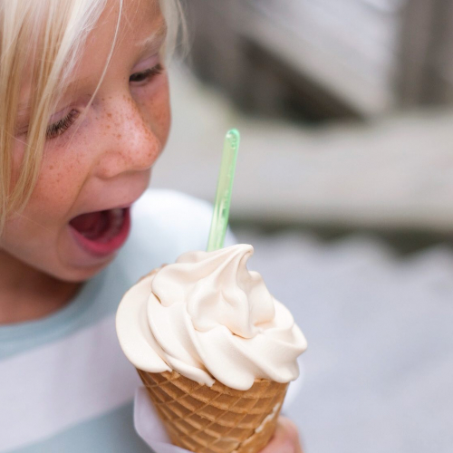 Sanchez Artisan Glacier