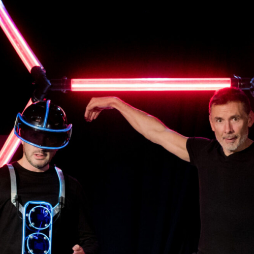 Le disco des oiseaux