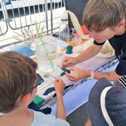 Session de médiation, Objectif Plancton