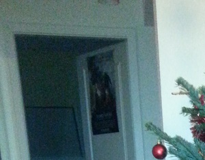 Concours photo mon beau sapin 2014 - catherine