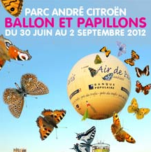 Ballon et papillons