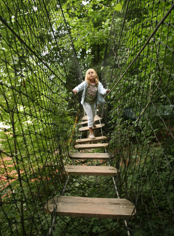 Aventure Land : accrokids