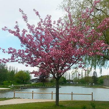 Parc Naturel Urbain Lomme