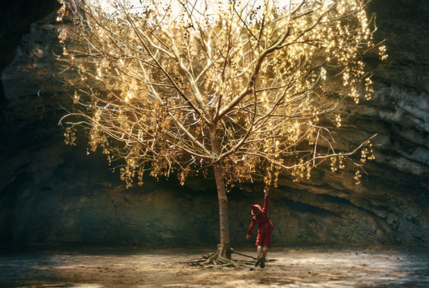 Pinocchio le film : arbre lumineux
